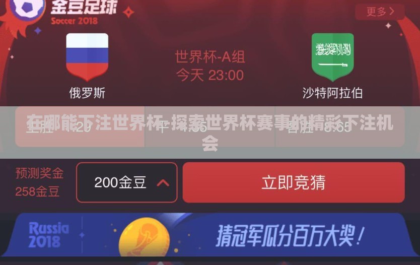 在哪能下注世界杯-探索世界杯赛事的精彩下注机会