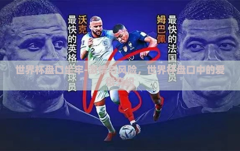 世界杯盘口坐牢-激情与风险，世界杯盘口中的爱恨交织