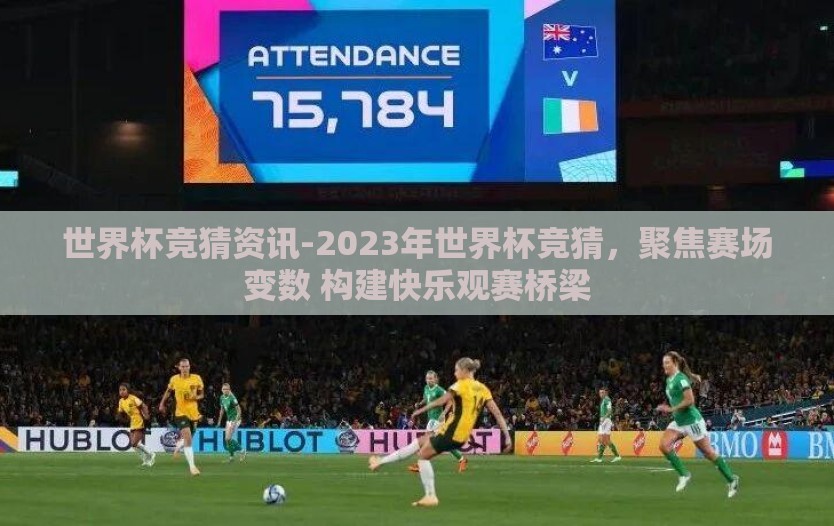 世界杯竞猜资讯-2023年世界杯竞猜，聚焦赛场变数 构建快乐观赛桥梁