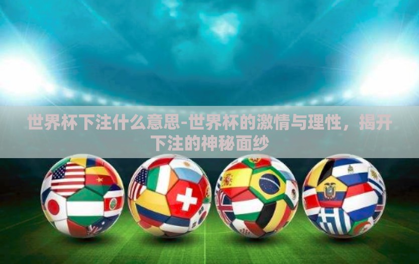 世界杯下注什么意思-世界杯的激情与理性，揭开下注的神秘面纱