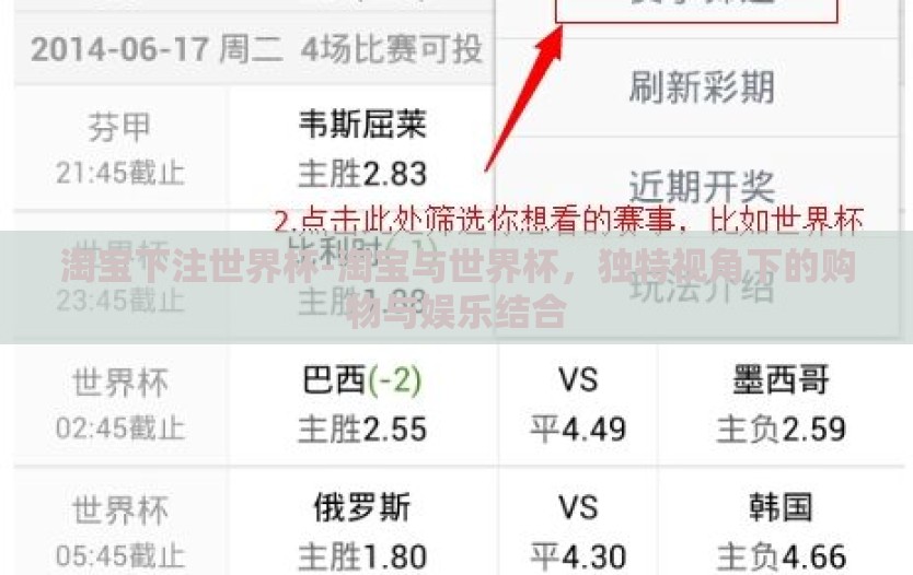 淘宝下注世界杯-淘宝与世界杯,独特视角下的购物与娱乐结合 淘宝下注世界杯-淘宝与世界杯,独特视角下的购物与娱乐结合
