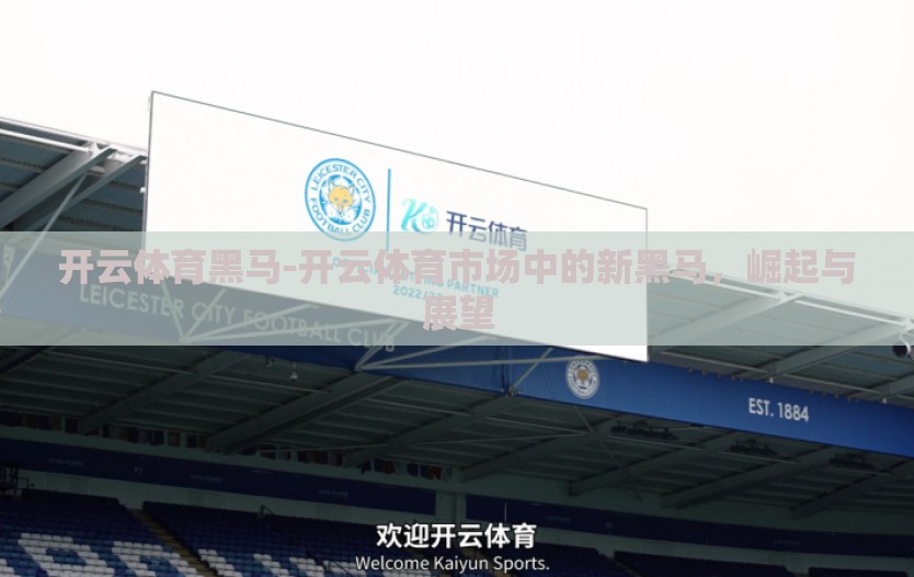 开云体育黑马-开云体育市场中的新黑马，崛起与展望