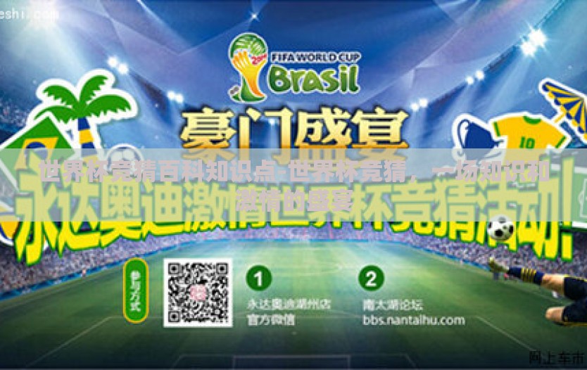 世界杯竞猜百科知识点-世界杯竞猜，一场知识和激情的盛宴