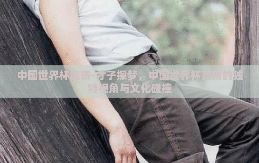 中国世界杯竞猜-才子探梦，中国世界杯竞猜的独特视角与文化碰撞