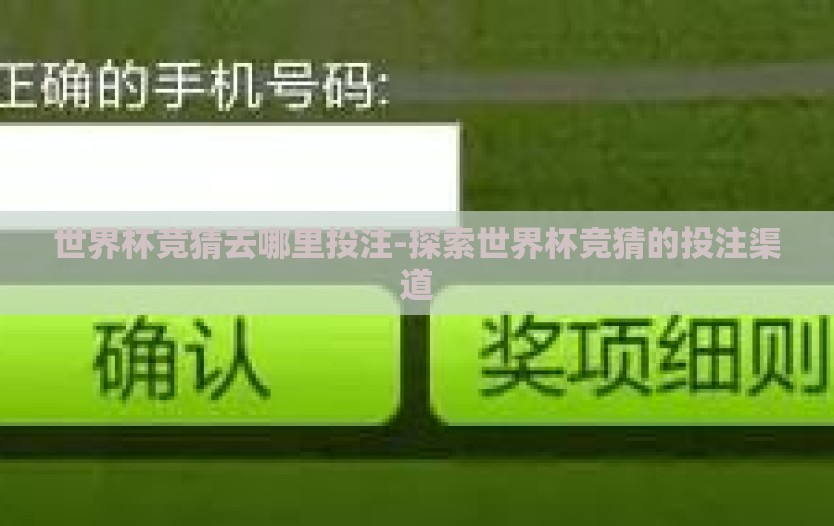 世界杯竞猜去哪里投注-探索世界杯竞猜的投注渠道