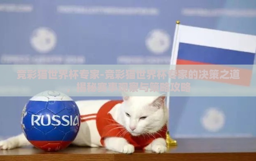 竞彩猫世界杯专家-竞彩猫世界杯专家的决策之道，揭秘赛事观察与策略攻略