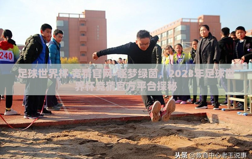 足球世界杯 竞猜官网-逐梦绿茵，2023年足球世界杯竞猜官方平台探秘