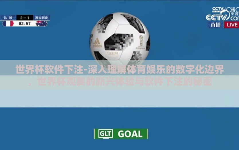 世界杯软件下注-深入理解体育娱乐的数字化边界，世界杯观赛的新兴体验与软件下注的秘密