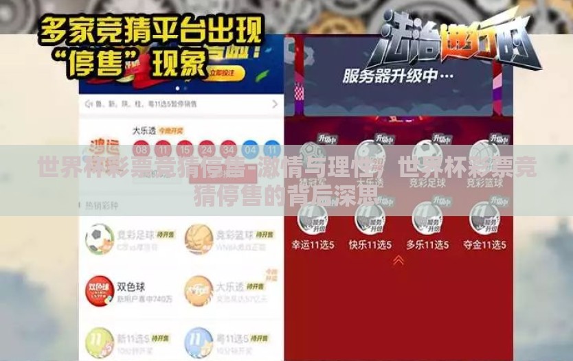 世界杯彩票竞猜停售-激情与理性，世界杯彩票竞猜停售的背后深思