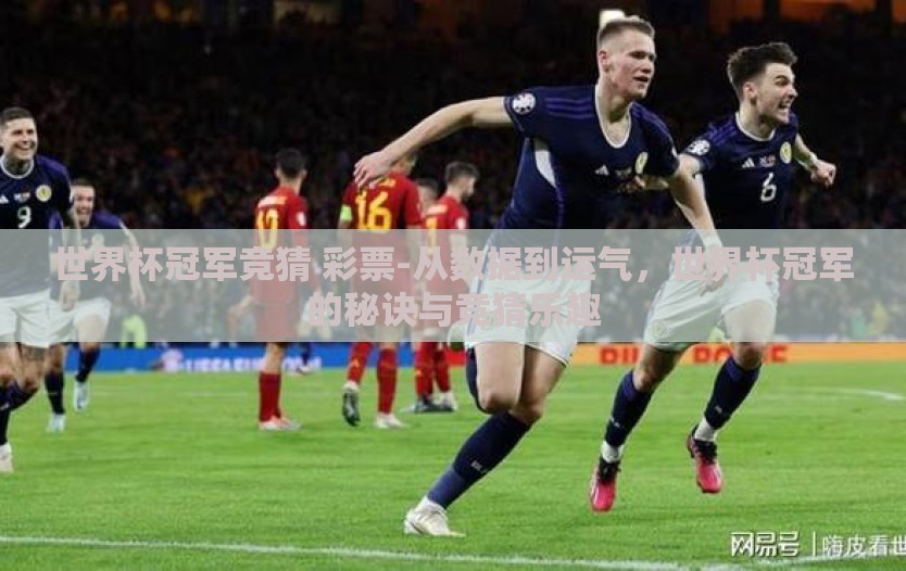 世界杯冠军竞猜 彩票-从数据到运气，世界杯冠军的秘诀与竞猜乐趣