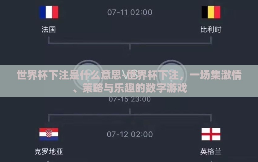 世界杯下注是什么意思-世界杯下注，一场集激情、策略与乐趣的数字游戏
