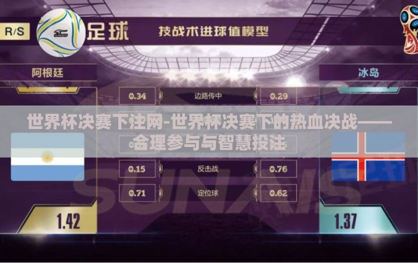 世界杯决赛下注网-世界杯决赛下的热血决战——合理参与与智慧投注