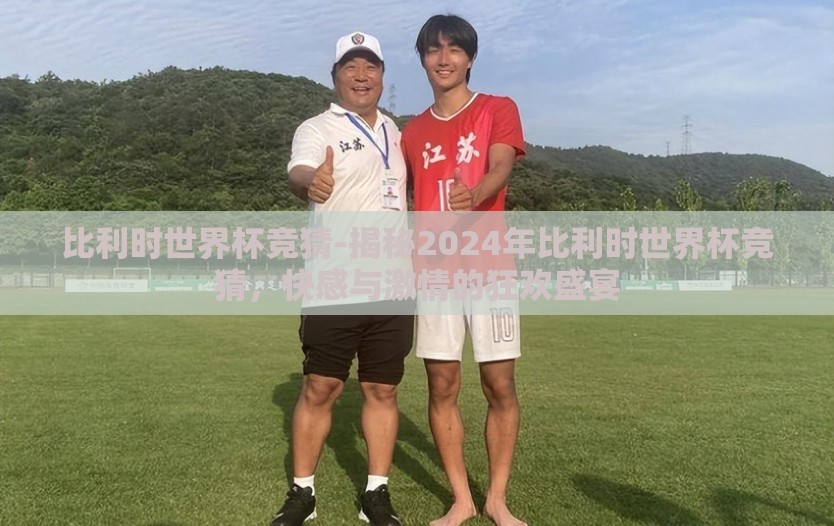 比利时世界杯竞猜-揭秘2024年比利时世界杯竞猜，快感与激情的狂欢盛宴