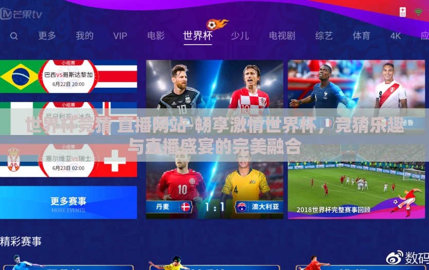 世界杯竞猜 直播网站-畅享激情世界杯，竞猜乐趣与直播盛宴的完美融合
