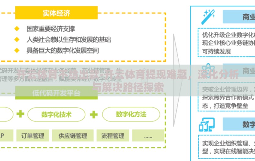 开云体育不给出款-开云体育提现难题，深化分析与解决路径探索