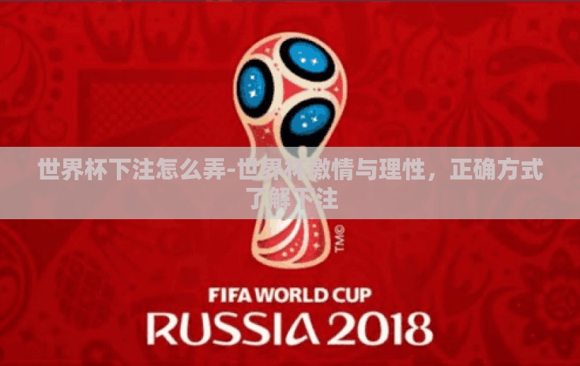 世界杯下注怎么弄-世界杯激情与理性，正确方式了解下注