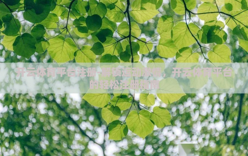 开云体育平台注册-解锁运动激情，开云体育平台的轻松注册指南