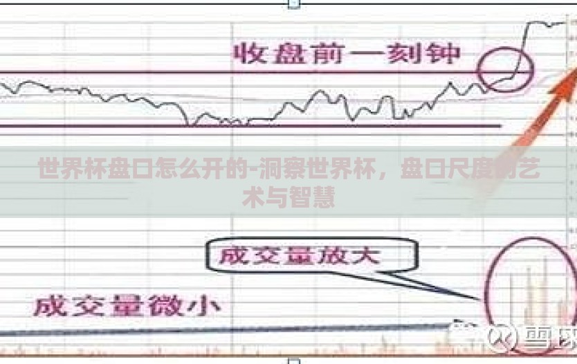世界杯盘口怎么开的-洞察世界杯，盘口尺度的艺术与智慧